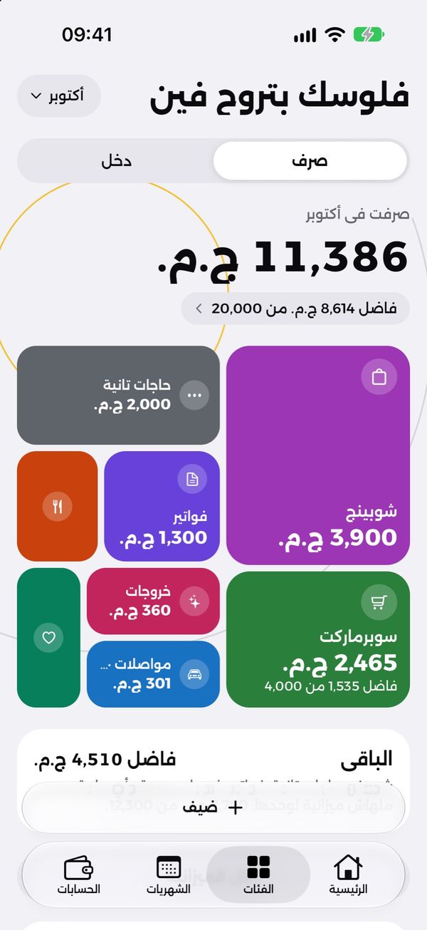 المصاريف حسب الفئة